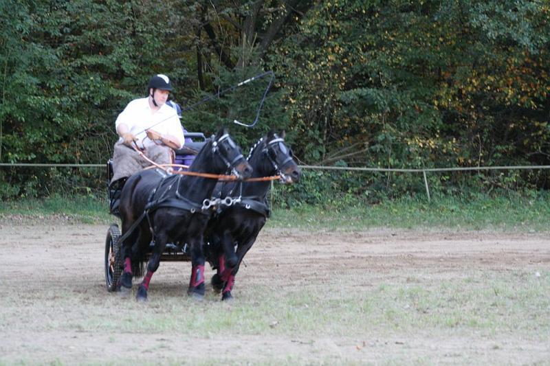 Kutschenturnir 10.10.2010 112.JPG